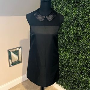 Ted Baker Black Lace Collared Dress